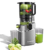 AMZCHEF Extracteur de jus Sans Préparation Extracteur Jus Lent 135mm 1,8 L Slow Juicer 250W sans BPA Gris