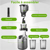 AMZCHEF Extracteur de jus Sans Préparation Extracteur Jus Lent 135mm 1,8 L Slow Juicer 250W sans BPA Gris